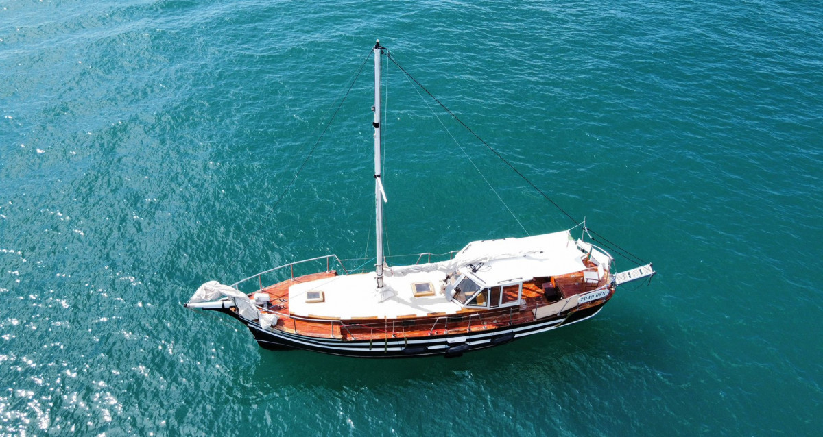 Immagine WhatsApp 2024-07-24 ore 13.00.41_72c034f1