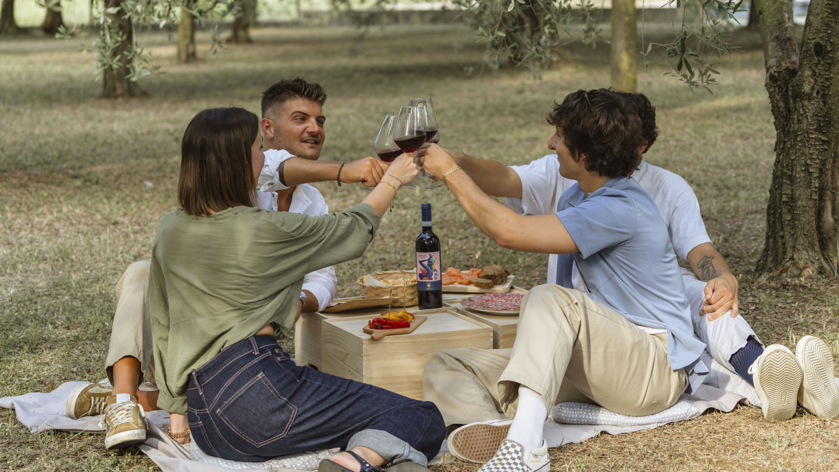 Lazise: Picnic in the vineyards