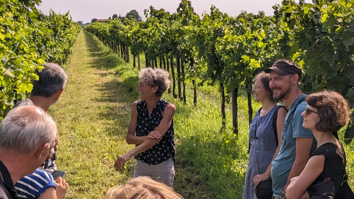 Caorle: Wine Tour e Degustazione presso la Cantina La Frassina