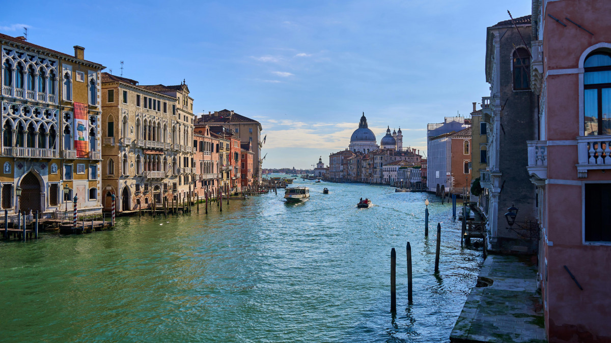 pexels-myersmc16-31428670