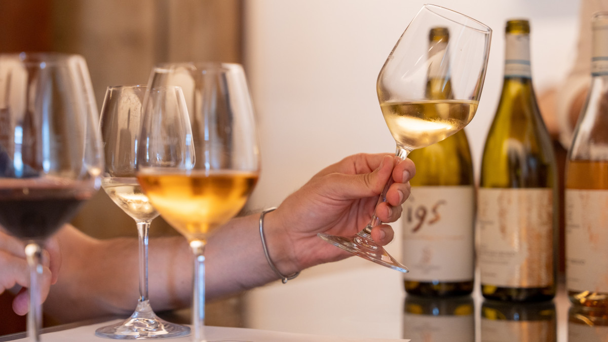 Close-up of a hand holding a glass of white wine for visual analysis during a professional tasting at Villa Bogdano