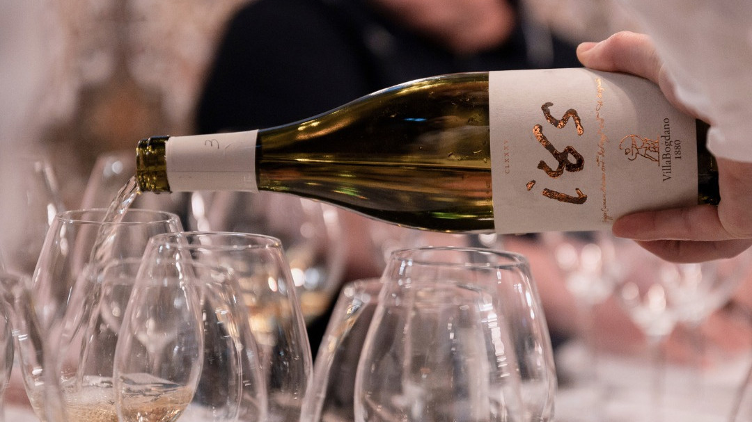 Villa Bogdano: Wine Tasting + Guided Visit