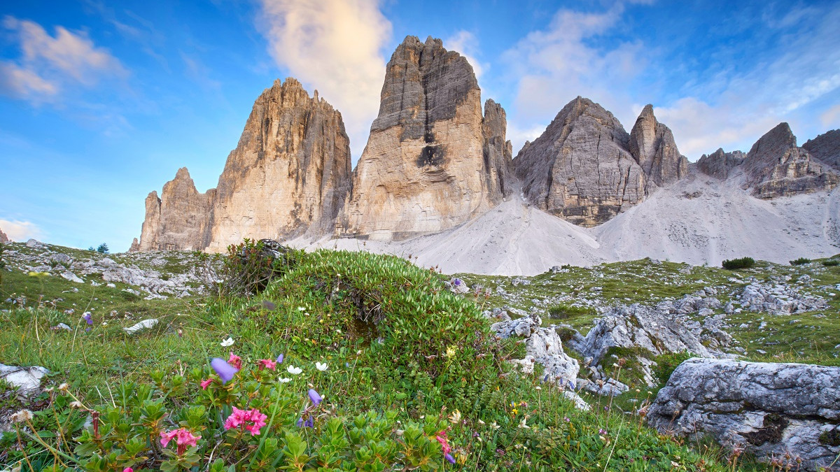 dolomites rocks with a green field full of flowers