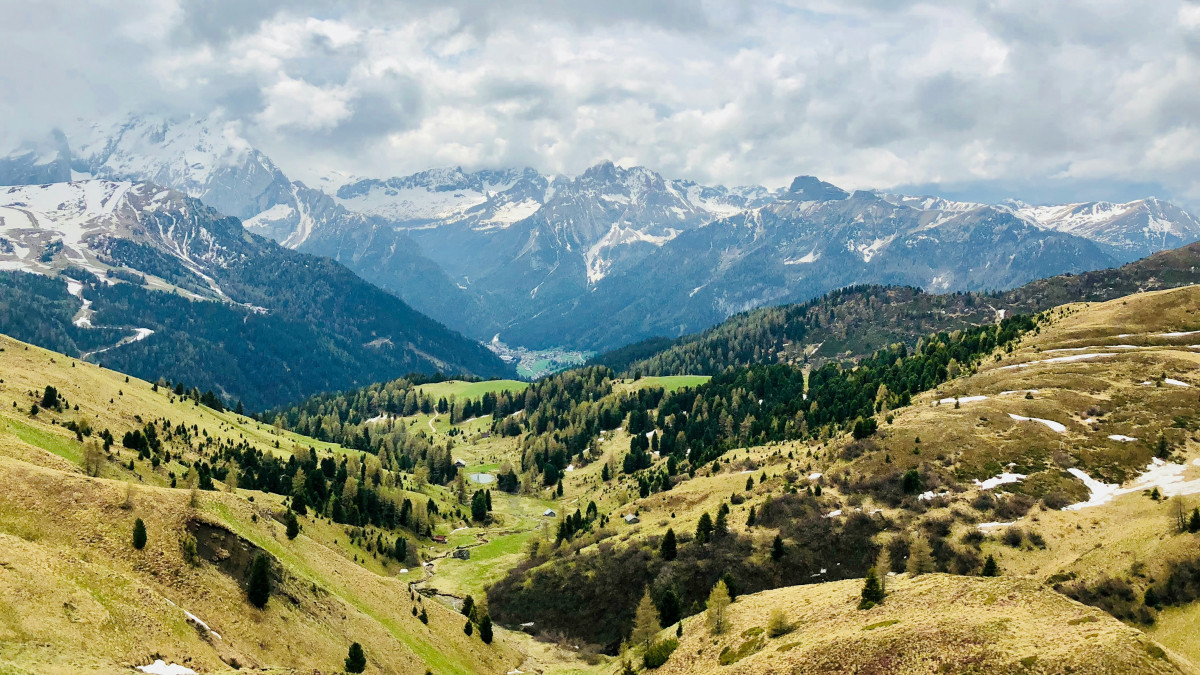 Green valley with the dolomites in the background