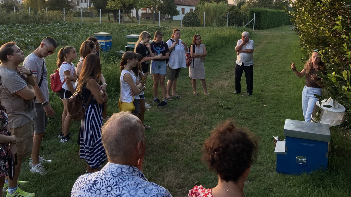 A group of tourists participating in a guided nature walk and educational apiary visit at Azienda Agricola Valleri in Cavallino-Treporti.
