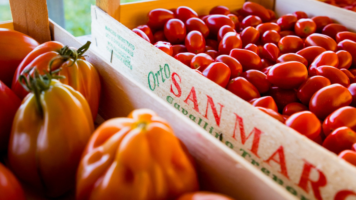 Wooden crates of fresh red cherry and oxheart tomatoes with local Saccagnana and Cavallino-Treporti branding at Azienda Agricola Smerghetto.