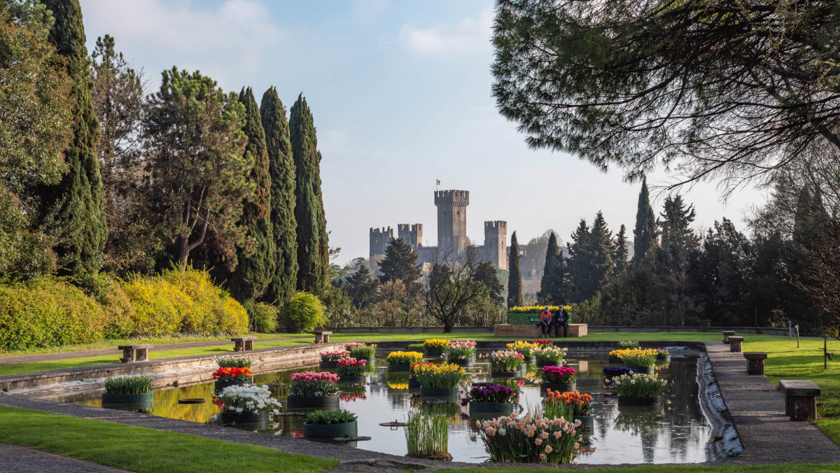 Floating flower beds with colorful tulips on a pond overlooking the Scaligero Castle at Parco Giardino Sigurtà