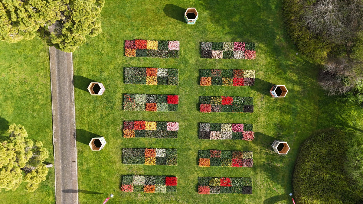 A couple relaxing on a stone bench by a peaceful water garden with blooming lilies and tall evergreen trees in a public park.