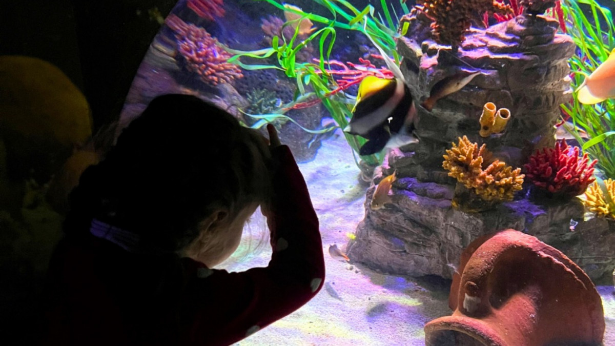 A young child looking through a glass observation bubble at a colorful tropical reef with Moorish Idol fish at Gardaland SEA LIFE Aquarium.