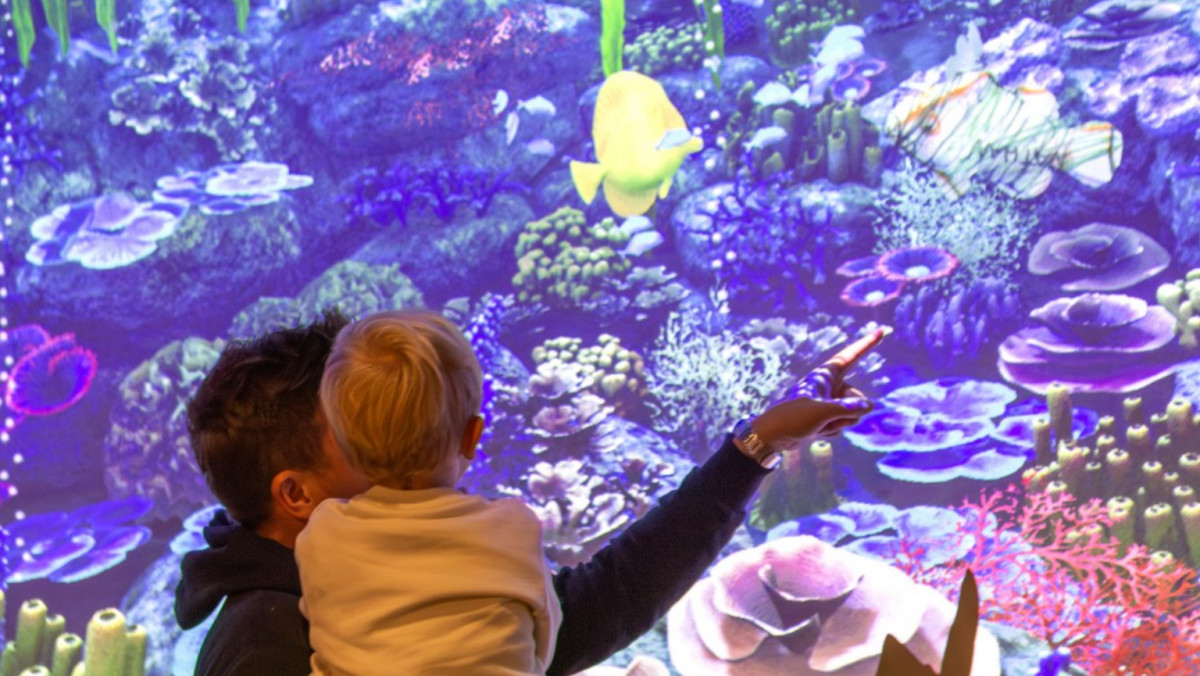 A father holding his toddler while pointing at a large interactive digital coral reef display at Gardaland SEA LIFE Aquarium.
