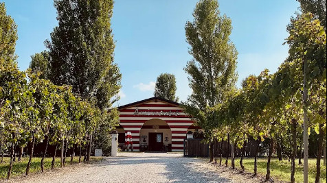 Caorle: Weinprobe-Erlebnis in Lissabon