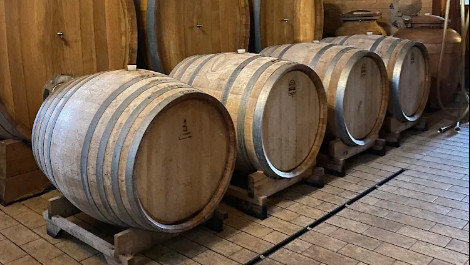 Immagine 2026-02-27 151731