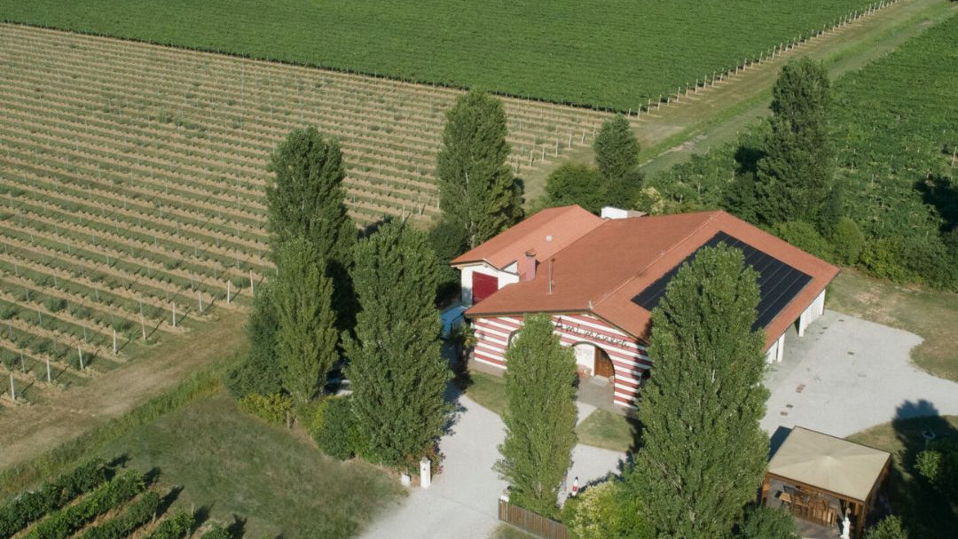 A Mi Manera Cantina6