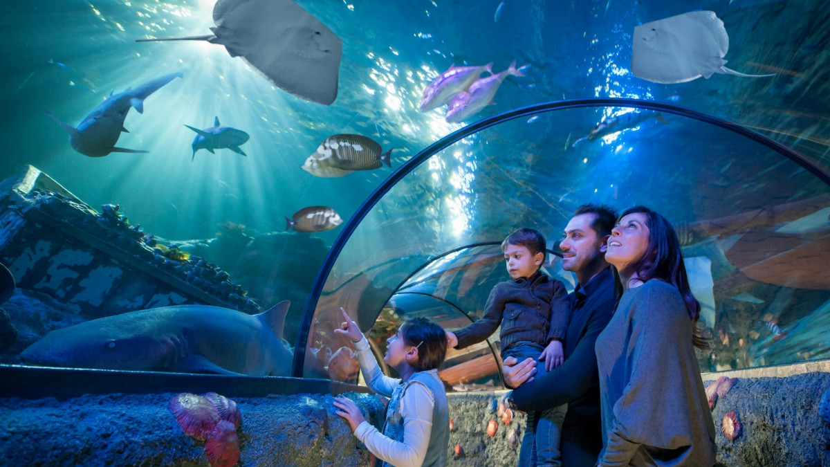 A family walking through the transparent ocean tunnel at Gardaland SEA LIFE Aquarium, looking at sharks and stingrays swimming above them in a large blue tank.