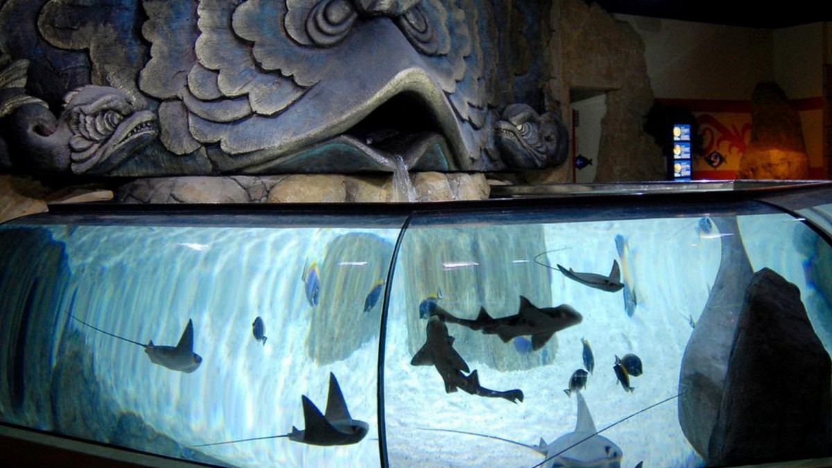 Sharks and rays swimming in a large curved tank under a giant sea monster sculpture at Gardaland SEA LIFE Aquarium in Italy.