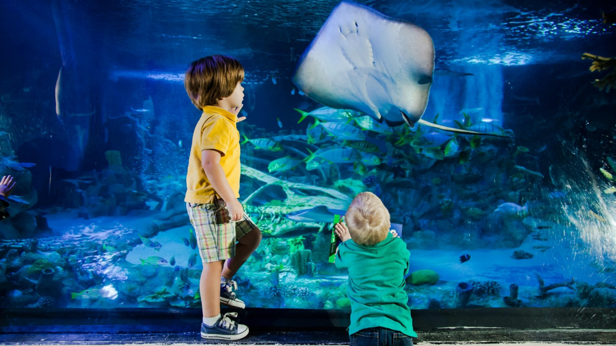 Two young children mesmerized by a large stingray and schools of tropical fish swimming in a massive deep-blue tank at Gardaland SEA LIFE Aquarium