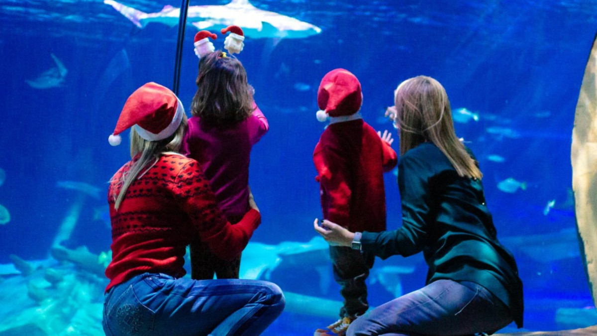 Two mothers with children wearing Santa hats watching sharks through the large viewing window at Gardaland SEA LIFE Aquarium during the Christmas season.