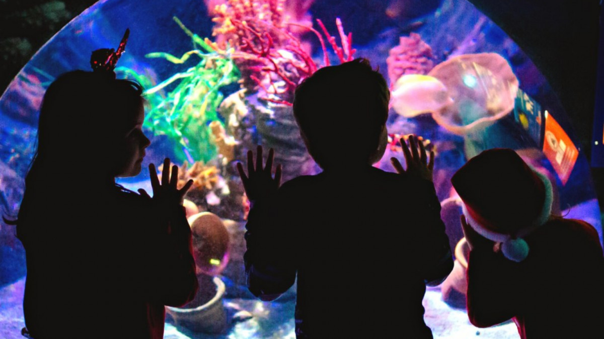 Silhouettes of children in Santa hats admiring colorful coral reefs and tropical fish through a dome window at Gardaland SEA LIFE Aquarium.