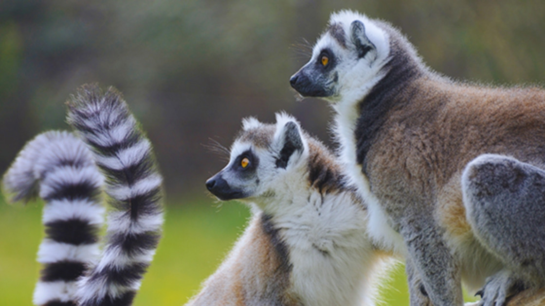 Foto per verifica prodotti(44)