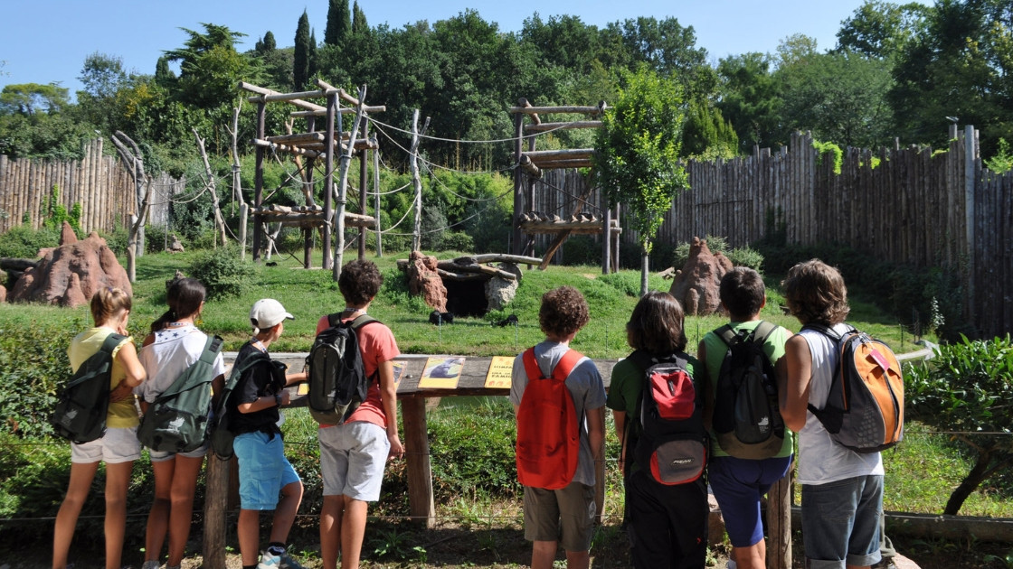 Children with backpacks looking at the chimpanzee enclosure at Parco Natura Viva wildlife park in Bussolengo.