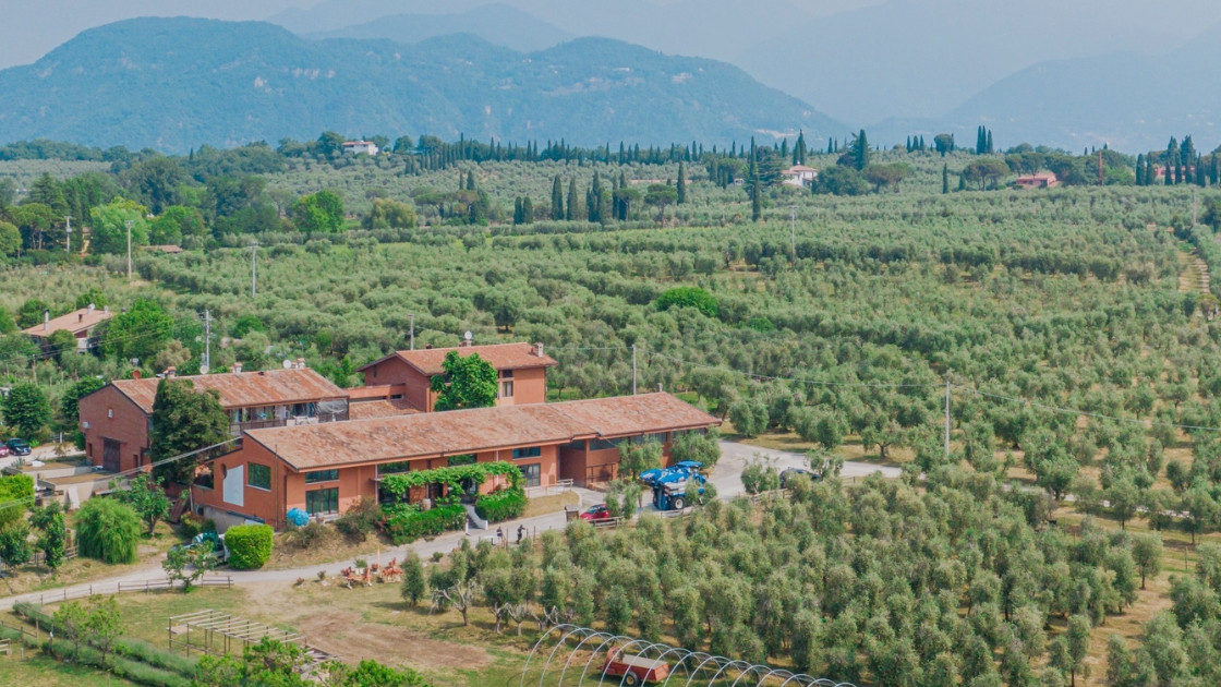 Aerial view of a traditional terracotta farmhouse surrounded by a vast olive grove with mountains in the background