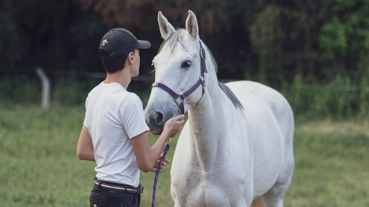 Young man in a baseball cap holding a white horse with a purple halter in a green field