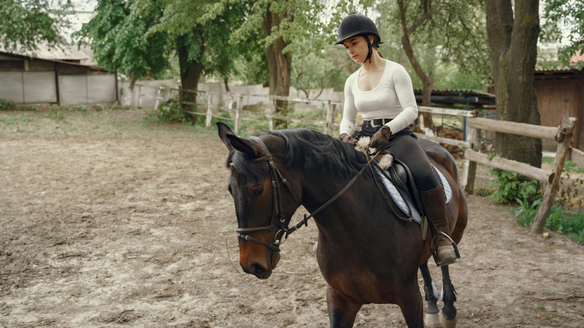 Equestrian woman in a black riding helmet and white top riding a dark bay horse in an outdoor arena
