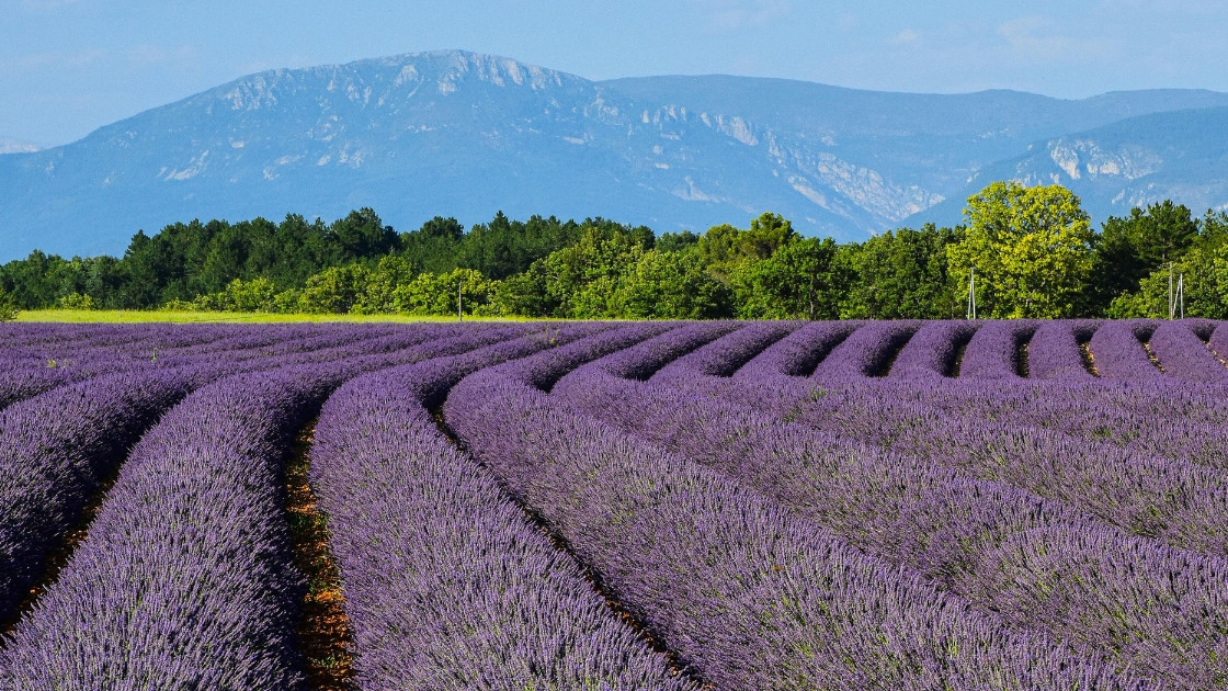 Provence