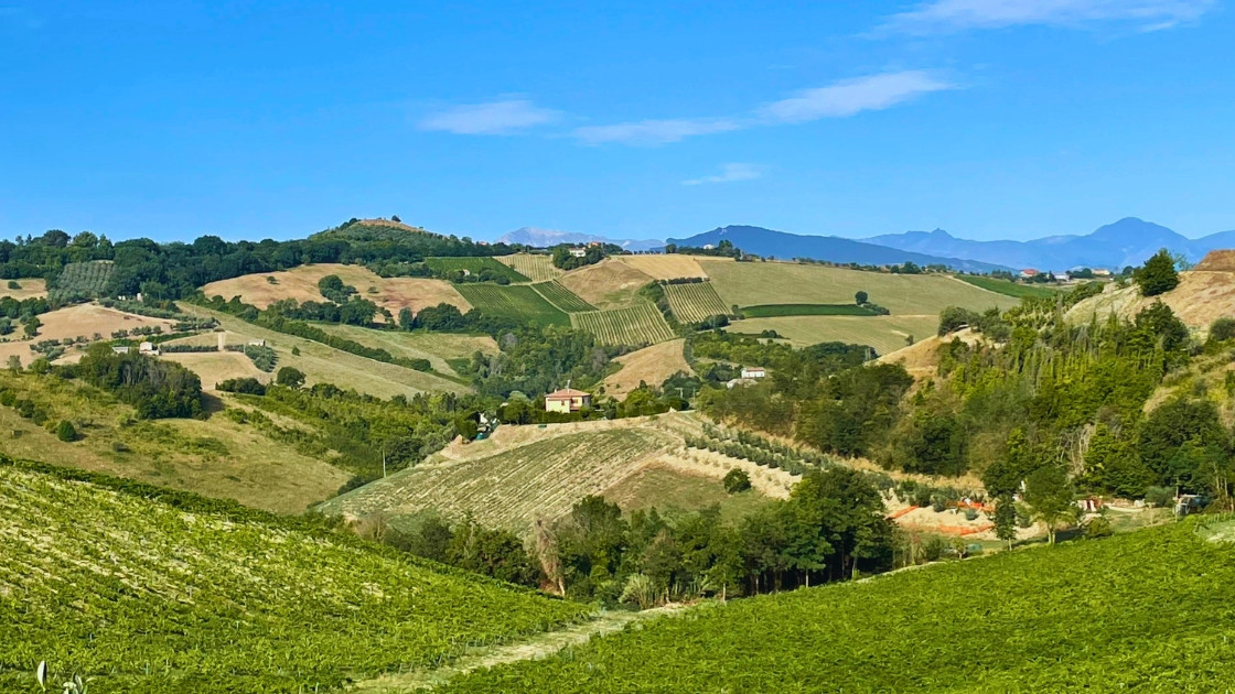 Le Marche
