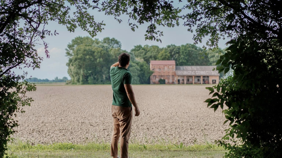 A man looking out over the expansive fields of Azienda Agricola La Fagiana, framed by lush trees