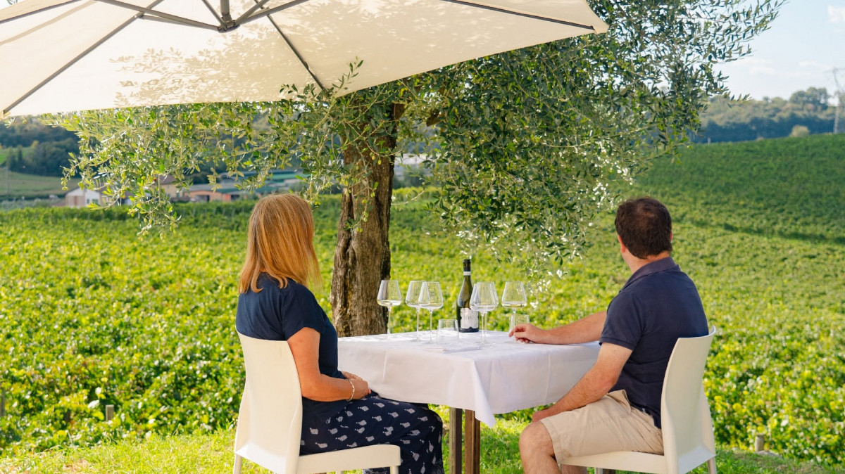 Lugana Wine Tour and Tasting - Perla del Garda