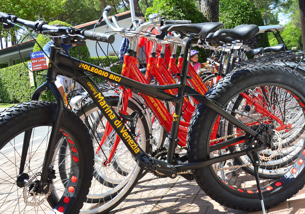 LEO BIKE