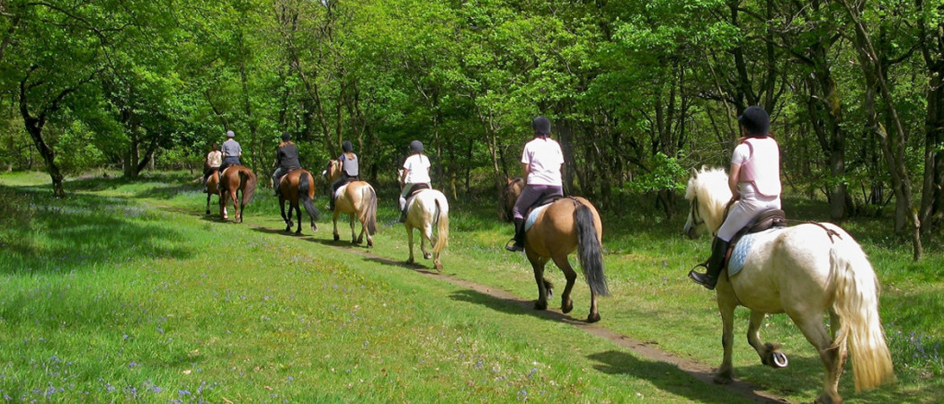 HORSE RIDING