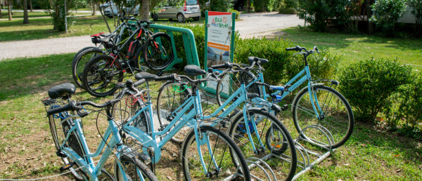 Bike Rental