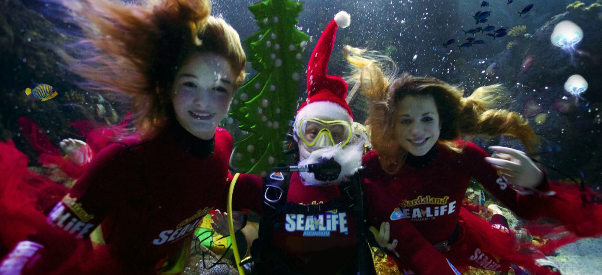 Gardaland SEA LIFE Aquarium