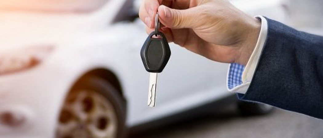 Cars rental
